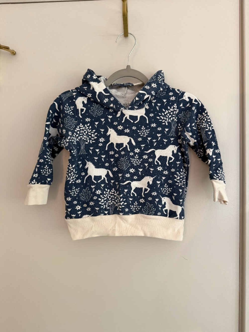 Winter Water Factory Unicorn Organic Cotton Hoodie 2T